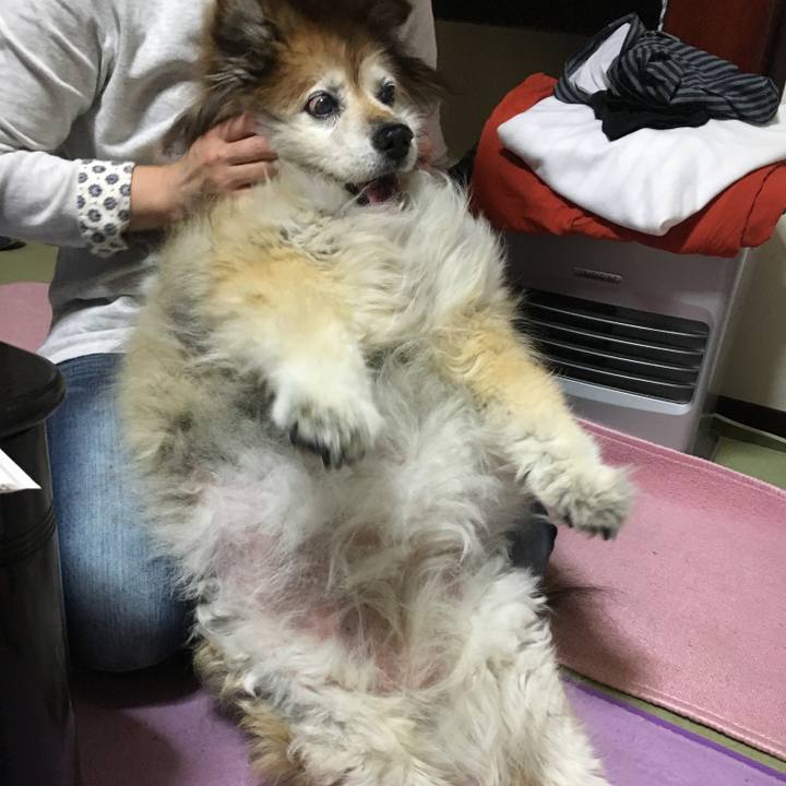 5d127cd0 5172 42eb a0ea 3a2e2d5e7cb9 1575420665942