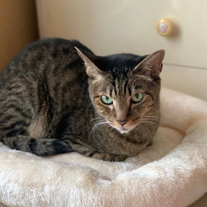 5d1287ff fb7b 4891 abb8 b14ef38474eb 1601256266609