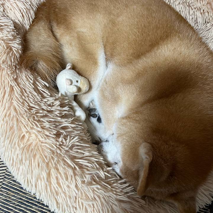 5d1294f9 1586 4922 b7e6 edf33ae26ac1 1724763284852