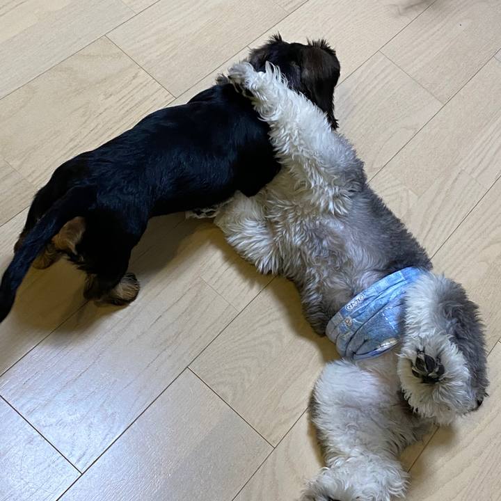 5d129b2c ed26 47f6 a78f 1b20ca1ca05d 1588683420140