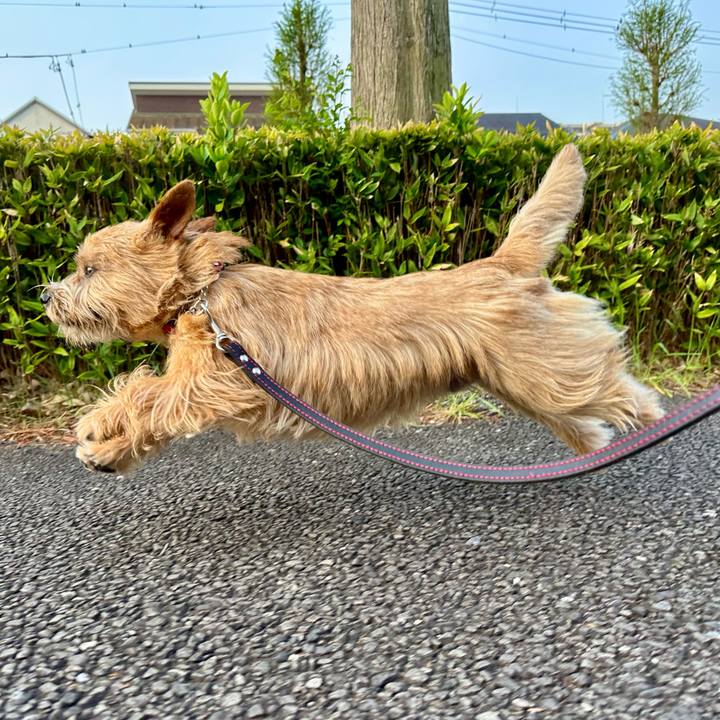 5d1302d3 291a 4511 8e92 9e151107d4e9 1745096340051