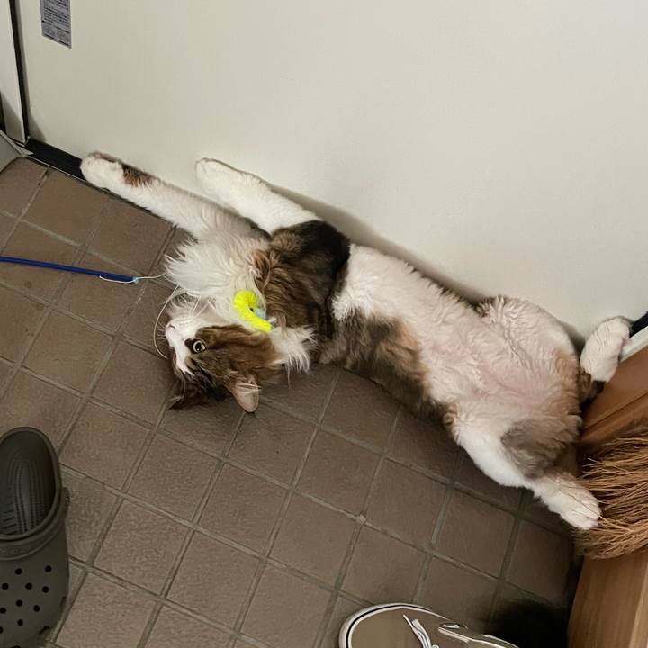 5d132af6 67b9 4cb8 9cb6 6430e62a120f 1689891380395