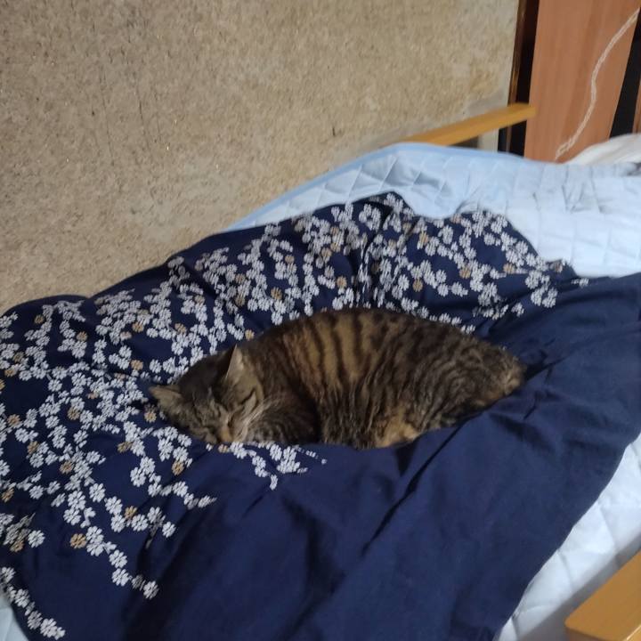 5d13aca6 7014 4586 9825 8cea2958959d 1717452484508