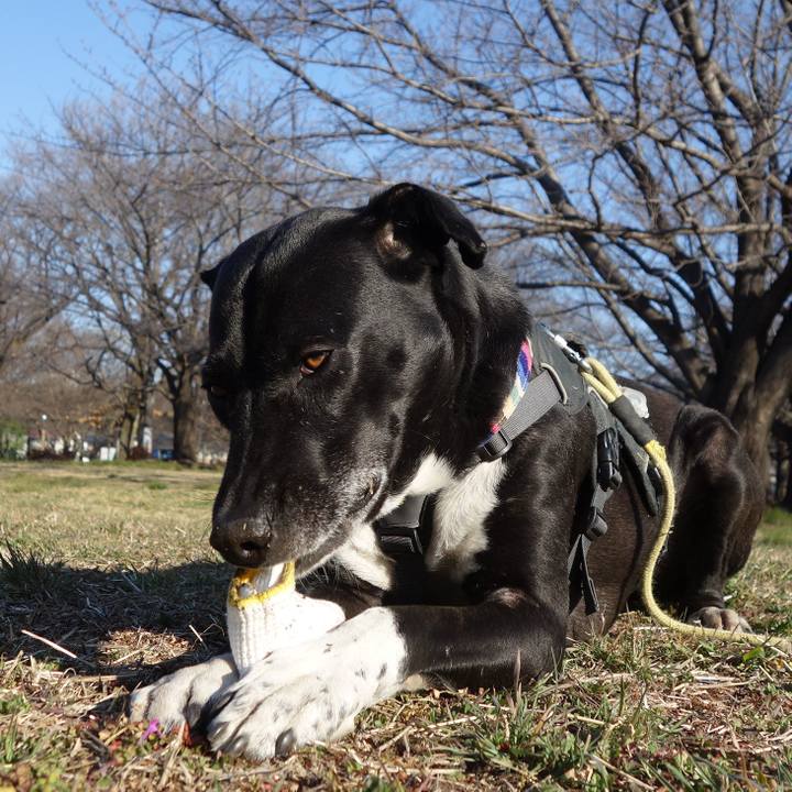 5d13acc1 1195 4d92 aba5 2ddd8bbc870f 1646526527575