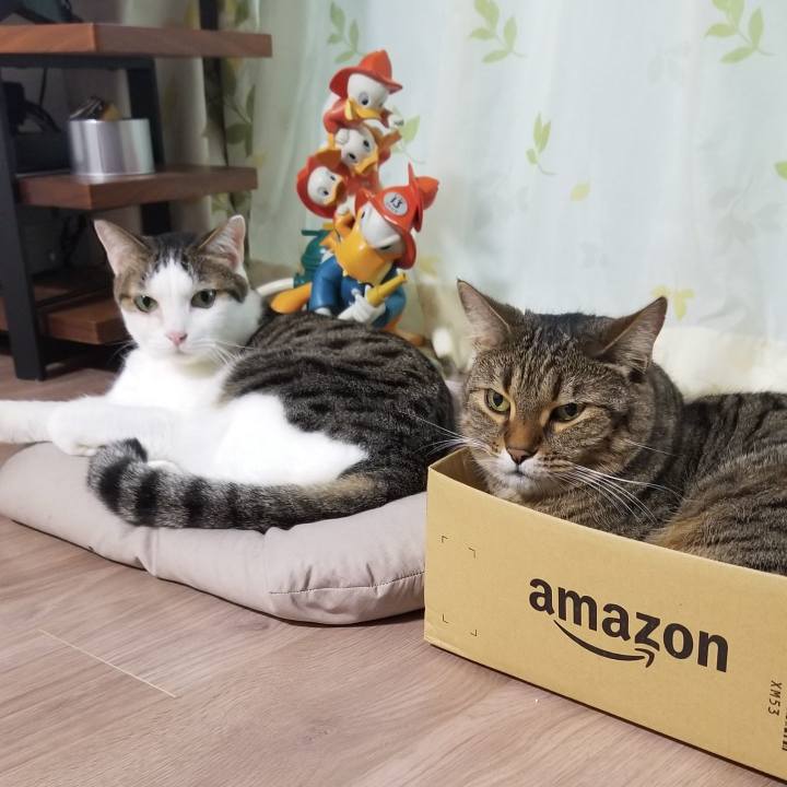 5d13b058 9334 46b6 87da eae397be963e 1596058916595