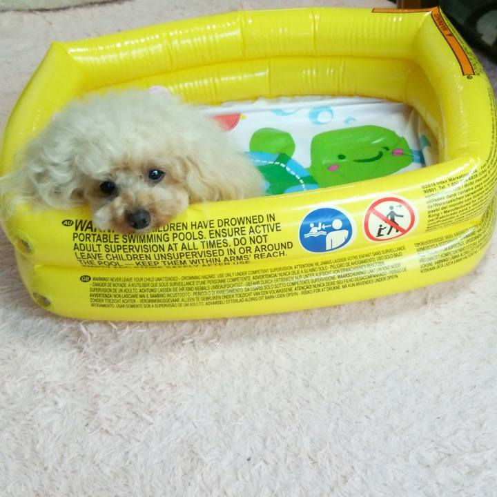 5d13e74e 5b2d 40e6 a622 eef3489ba868 1559130404683