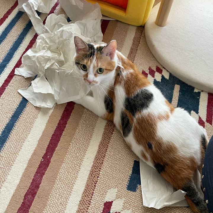 5d142a7b 8288 40a0 8664 30b7b03298ce 1630974879365