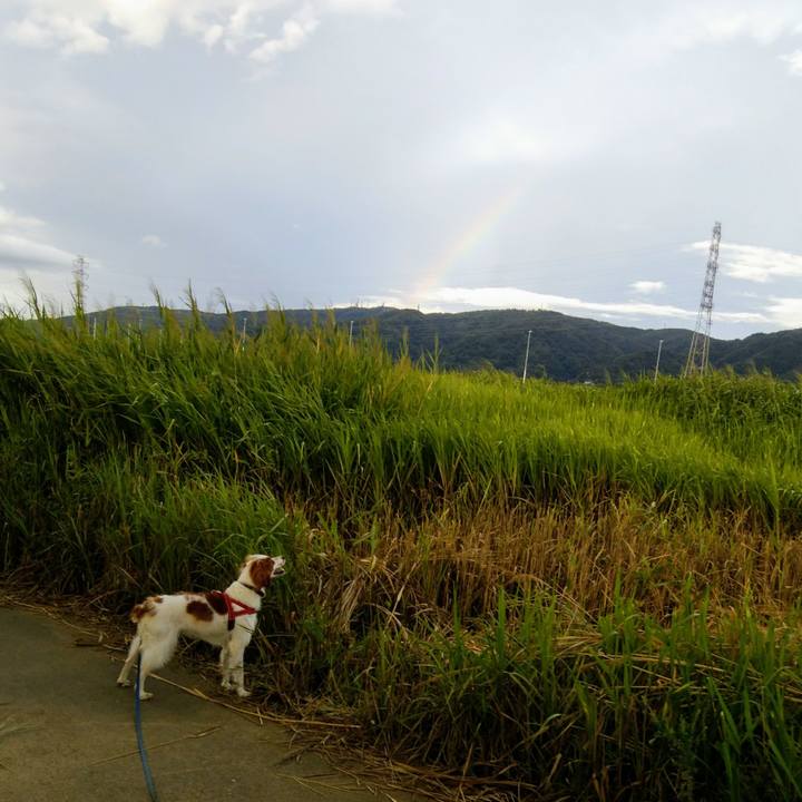 5d1432ac 0ca3 4473 b173 d58045cc2131 1534852957295