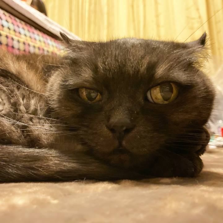 5d14506b 4740 4a47 89da acf83090ce57 1590249741172