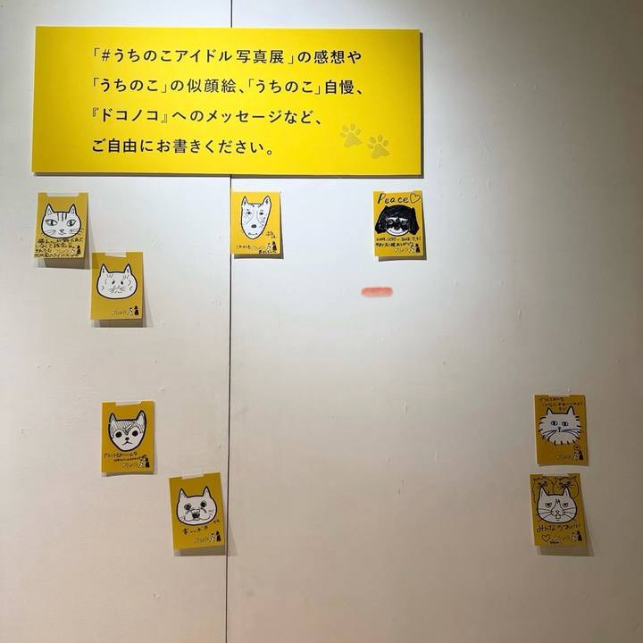 5d146d16 6f98 497b 9b10 2e47a285485c 1761141013475