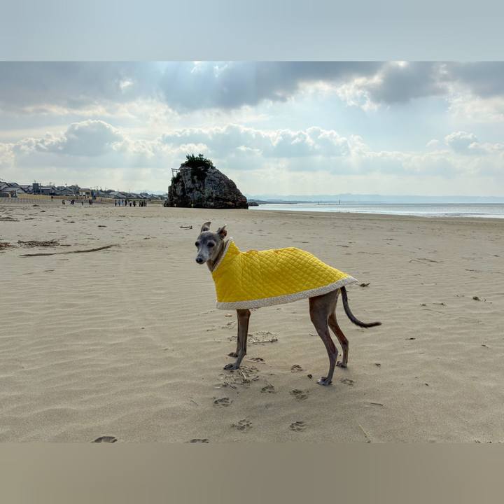 5d147373 89ff 4247 b2ac e0087eb02a1d 1763552829304