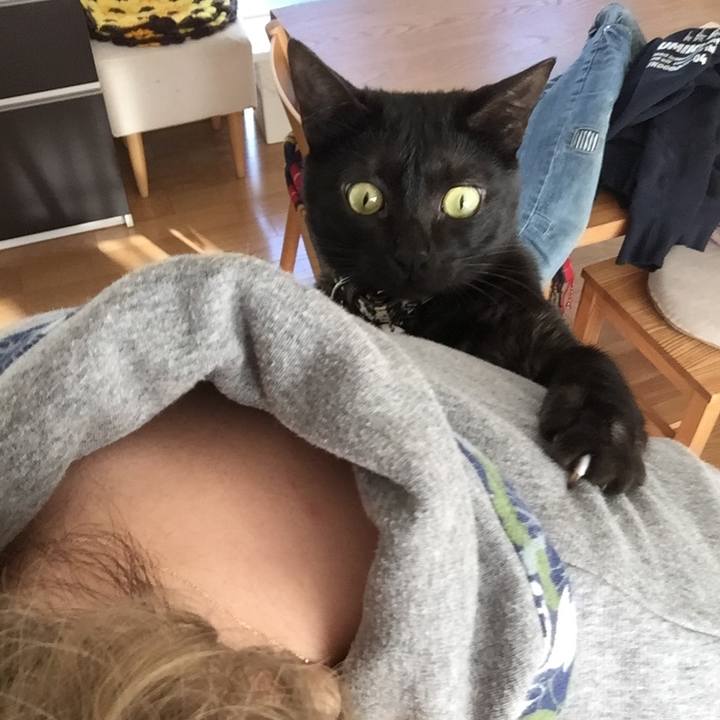 5d147570 6b32 474a 9628 b4c490929c66 1518225518861