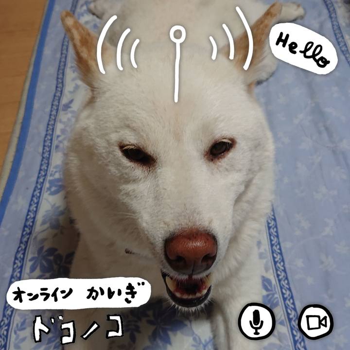 5d1479e7 1dd3 4169 89c9 5f3d9569eef5 1590763820083