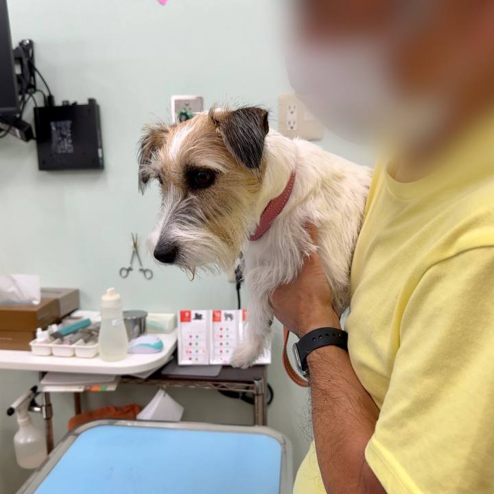 5d147d1b f8d7 4b86 a511 32b4b43cb9e2 1695636334136