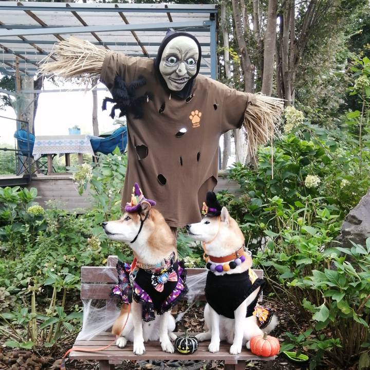 5d1480f1 bd83 42f0 ac57 693357b80eee 1665980714841