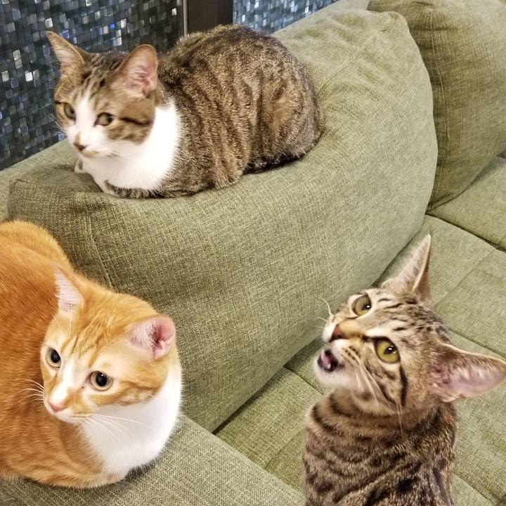 5d14adc3 9c2a 4340 9f72 ecbdb008e755 1543576537818