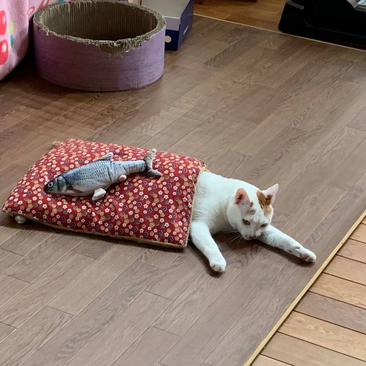 5d14ceba 19e8 41a9 9cce 1f24057d1454 1647858868714