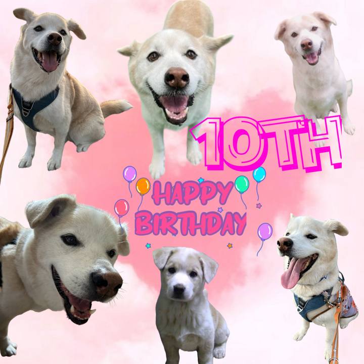 5d14ed3d 6ab6 4ddb 81e2 a5c60d119b47 1730107733562