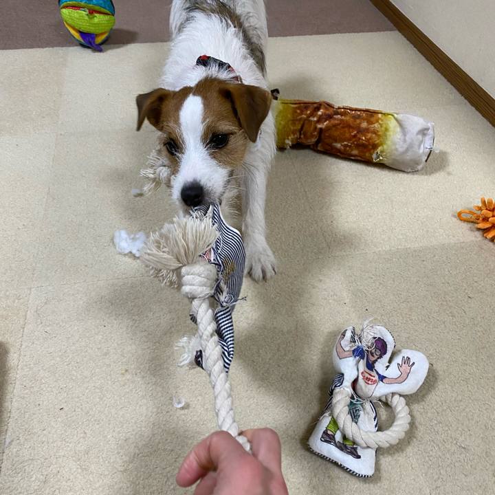 5d14f0f7 fb2f 4393 b5eb 3768d57034c8 1642683197495