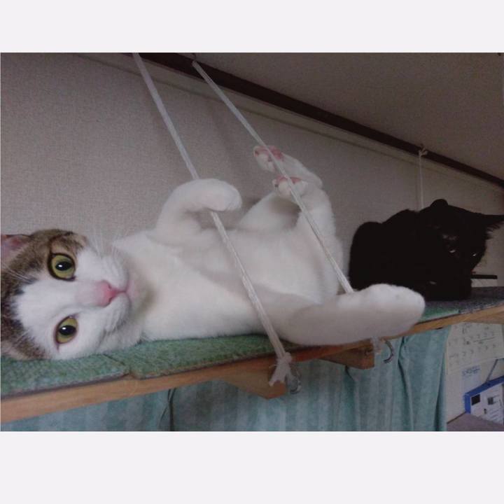 5d14f534 b9b6 4a4e b605 01434be23d77 1666521718321