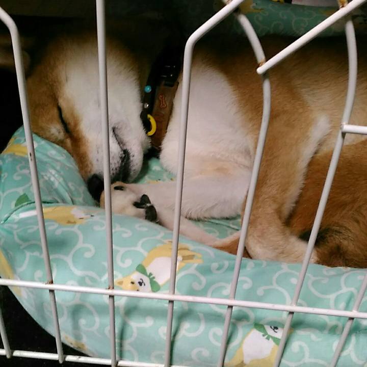 5d153e69 81d5 448d 90cf 6e025f06d026 1564582728381