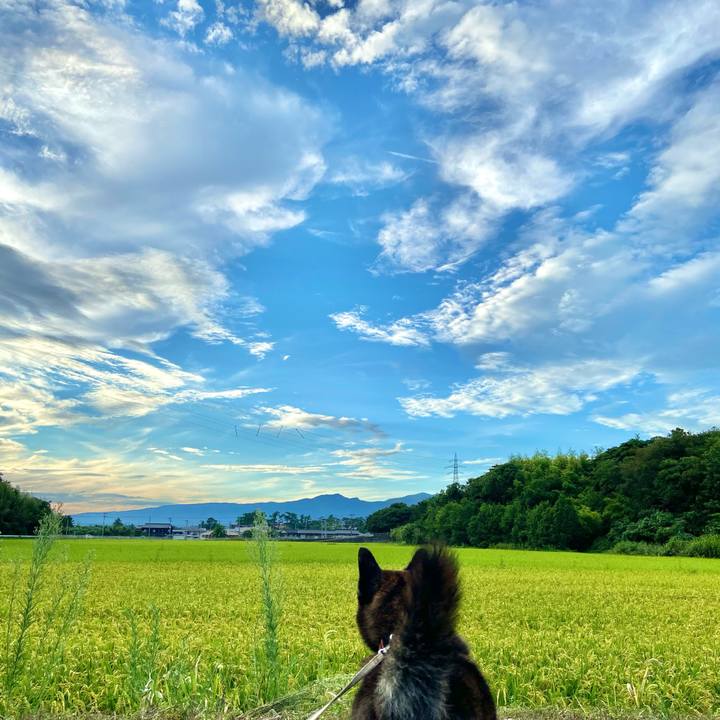 5d15491f 4dea 439d 8e73 ee2a9c3179ae 1629452161554