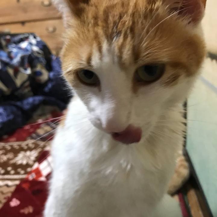 5d15587b c5f0 4727 a03e 1a4723137a2e 1508133074102