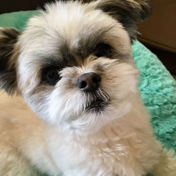 5d15904d 4528 43ec 8dae 622297265eaa 1551739405167