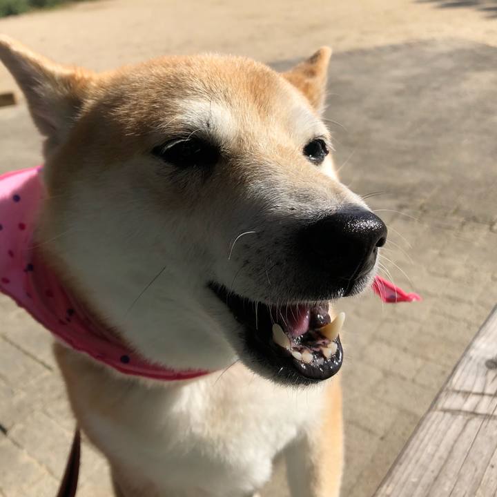 5d15ed94 c44f 4878 accf 83a807ec4c27 1604976848947