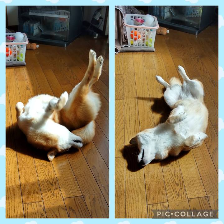 5d15fc4c a6aa 40c6 be3e 4eb024f0555f 1740539297065