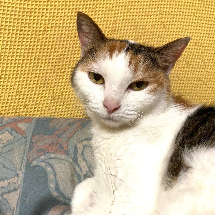 5d15fdab b8ce 4194 8819 1d82a1c28a00 1659442962159