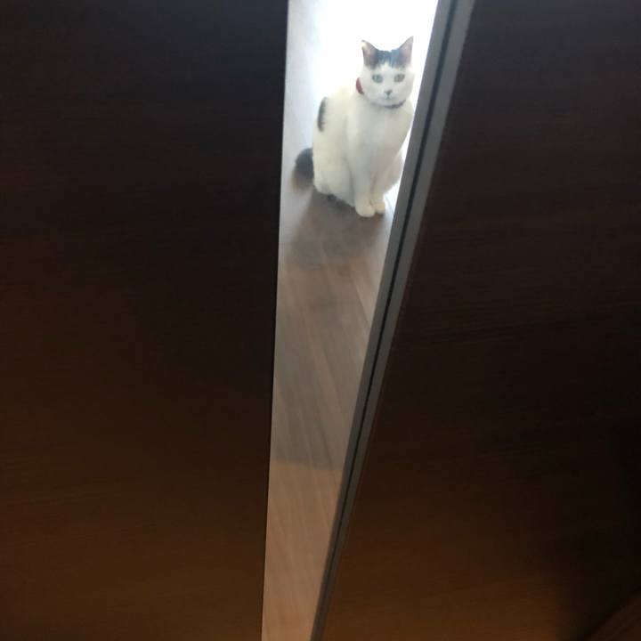 5d161bd1 adee 4845 a61f 7675ebdf262f 1548026943476