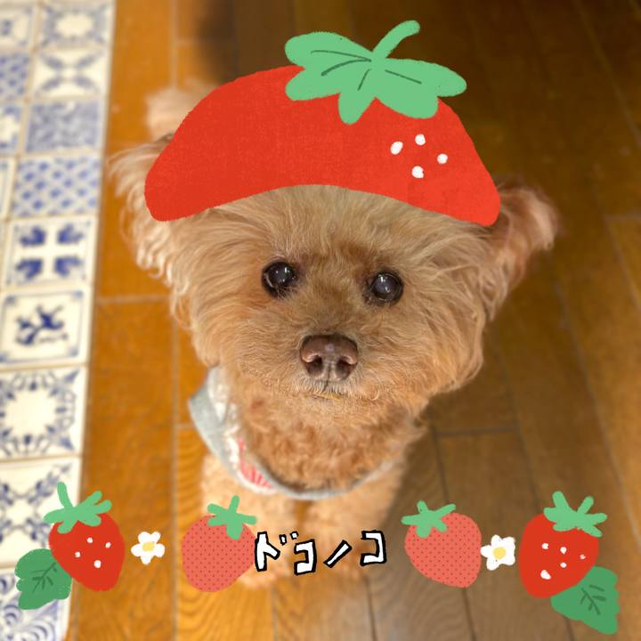 5d165ce2 92f2 42e5 87d9 5b459eb4f800 1775871584945