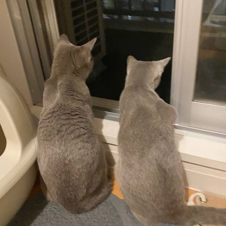 5d168274 d7d7 4ad6 9b89 ad6341381574 1616039985856