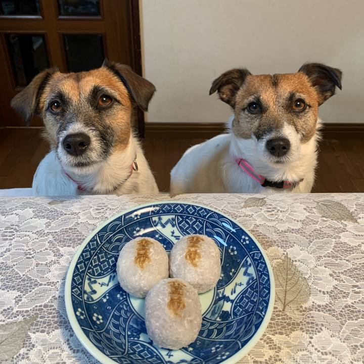 5d168cc9 a4d2 40f8 ae9c 5bd32048ea11 1611229230073