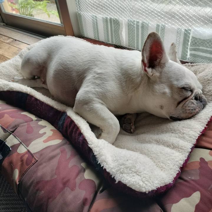 5d16bf11 17ba 4105 870b 74358715c761 1682587636291