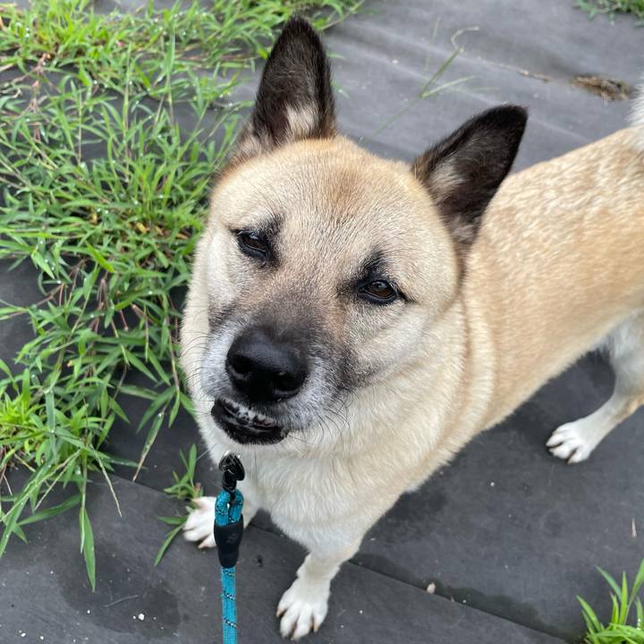 5d1786f6 98fa 4fe7 813f 2f4e85c2ee83 1688040783312