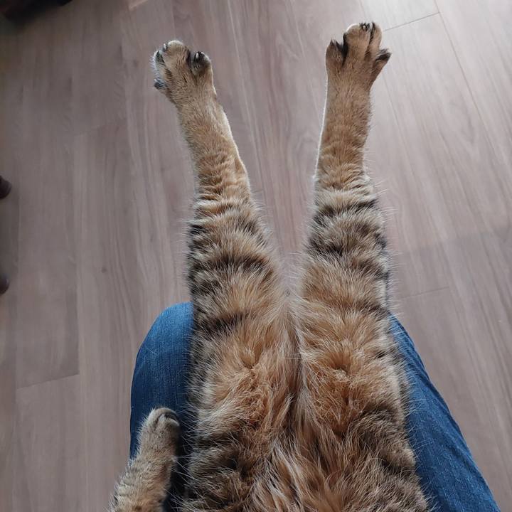 5d17936c 92c5 4a8e ab3b 5e90bd57ec16 1729655267716