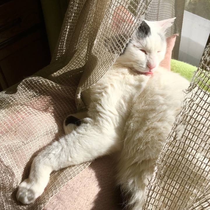 5d179a48 50de 4413 be22 ed48972f5402 1555019403273