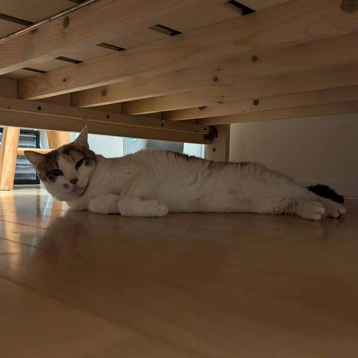 5d17dbd2 b994 4a65 ac9b 59d9a6e7e954 1722734492422