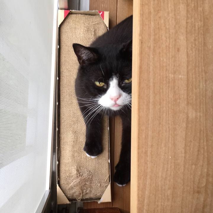 5d17e3a6 1fd9 48a0 aff1 1f1f6bd7b7a5 1530663847661