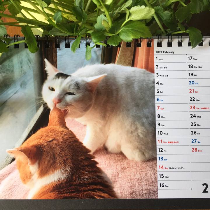 5d1818c5 952d 4915 8cdc af8067af69ef 1612150671139