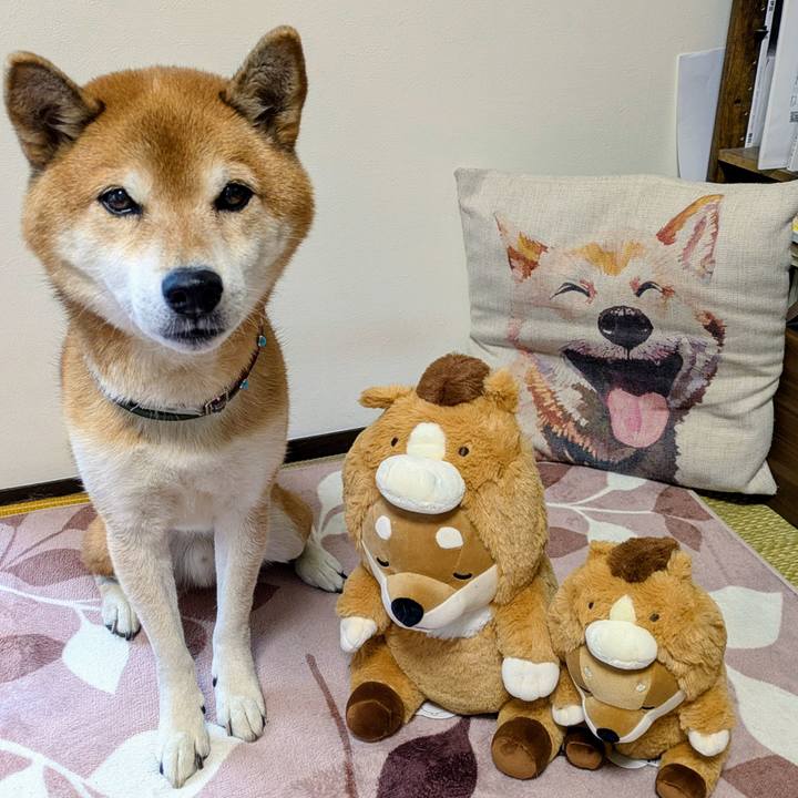 5d18242f 135d 4202 b80f 83abd1d21143 1764216964271