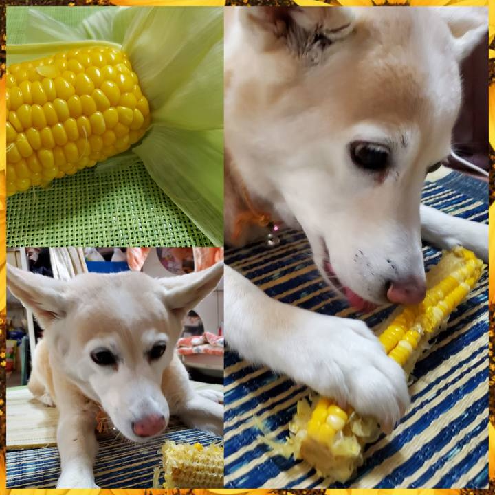 5d18465c 96e1 49ce b872 1b77e2e73815 1687751423859