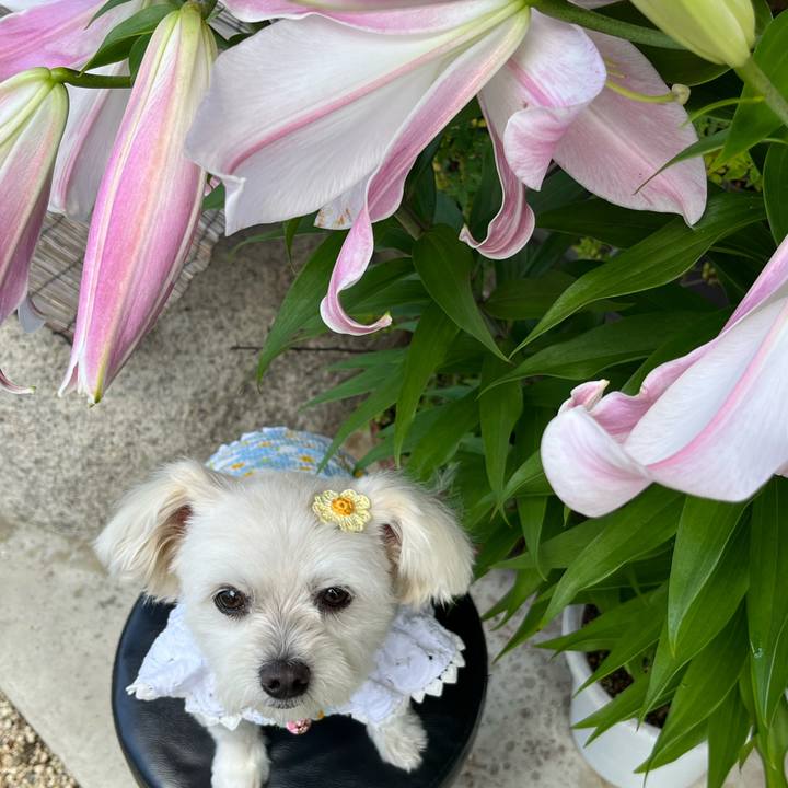 5d1848c9 5668 406f a752 41816e3e0788 1656218247438