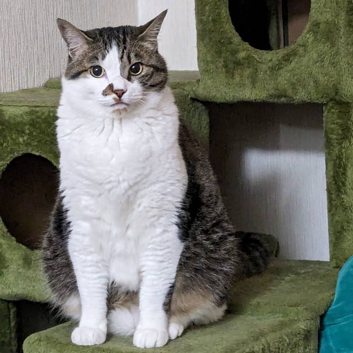 5d184af2 8d9b 4fb7 bfd9 d91d1d4e43e8 1715631157018