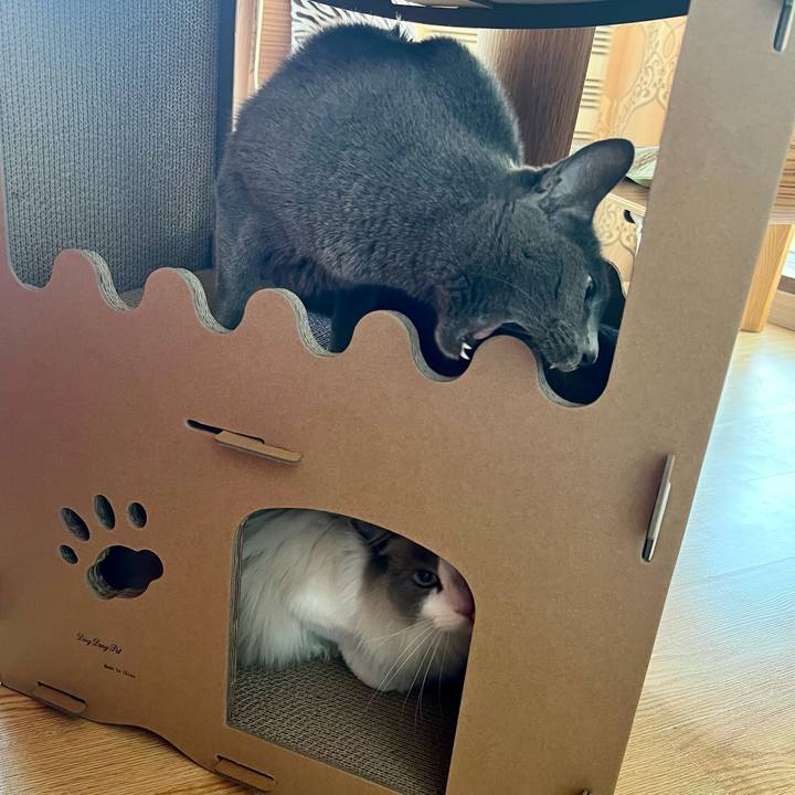 5d186dfb 41aa 4df3 946f 53da3a3b38b1 1651710393416