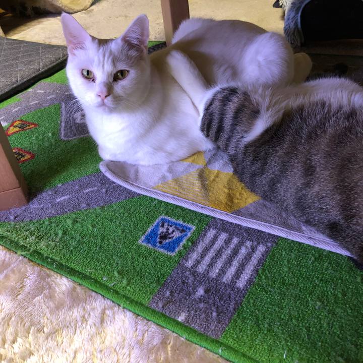 5d1875f7 a9c3 49f5 a3c8 e691f48f8d35 1669962837815