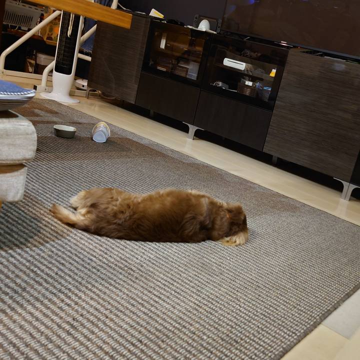 5d187fed e478 4355 840e fbb6bc7c9eca 1633259471433