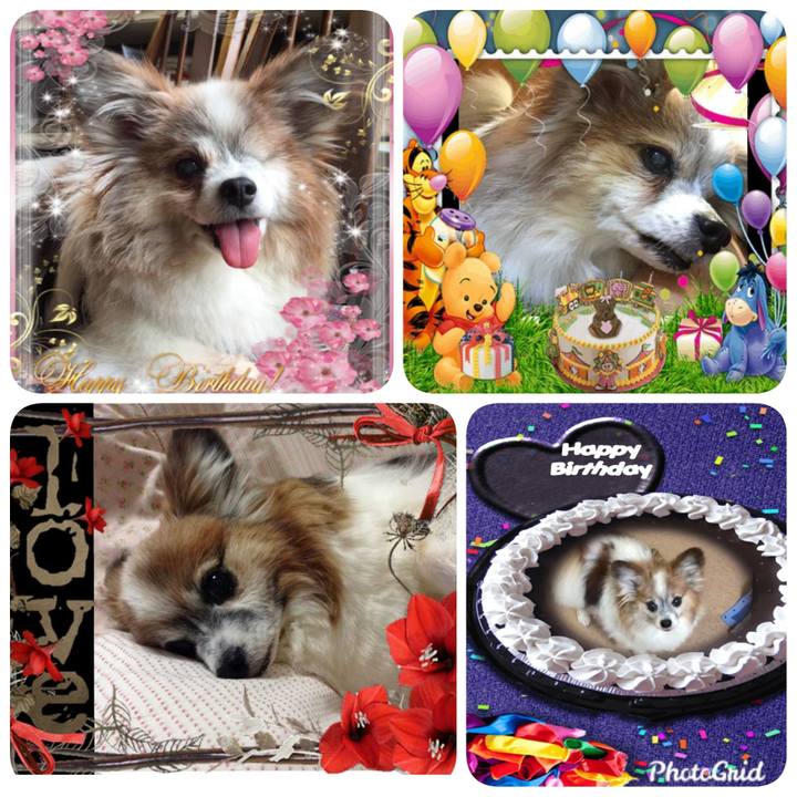 5d1884a1 6178 43ac aa1b 2285bfa96050 1568380746582